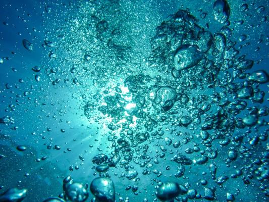 3. L'ossigeno non proviene solo dalle piante