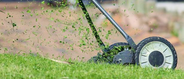 6. L'odore di erba tagliata serve a chiedere aiuto
