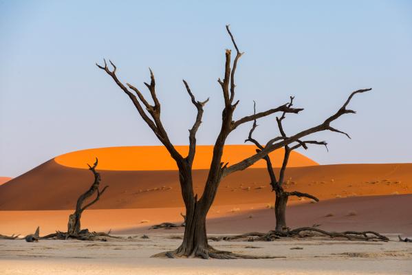 9. Deserto del Namib, Namibia (Africa)