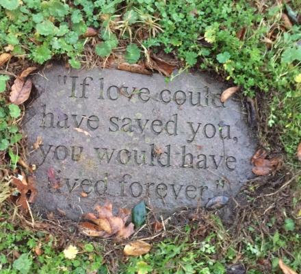 6. “Se l'amore avesse potuto salvarti, avresti vissuto per sempre” 