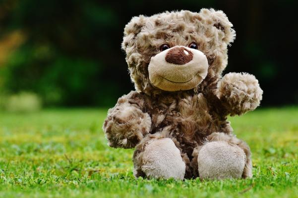 1. Gli animali di peluche