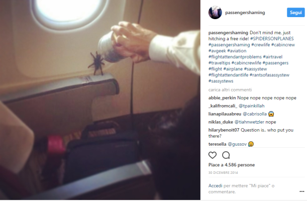 2. Un viaggio in compagnia