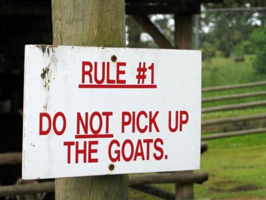 8. Le regole sono importanti
