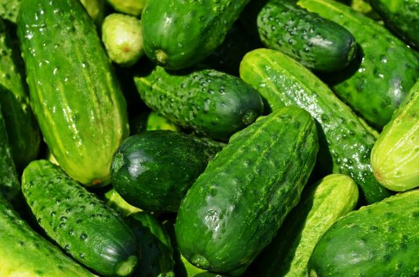 6. Cetrioli 