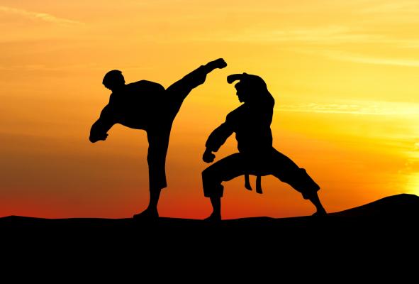 4. Maestro di kung-fu 