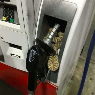 7. ... e nelle pompe di benzina!