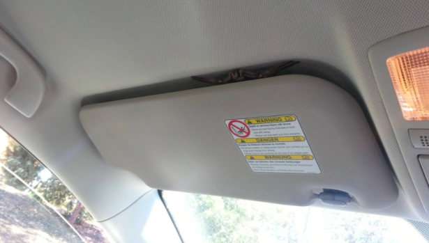 9. Ragni anche in auto