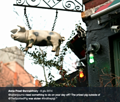 1. #findthepig