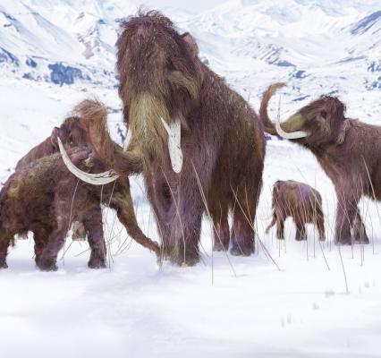 2. Perché i grandi animali del passato si sono estinti?