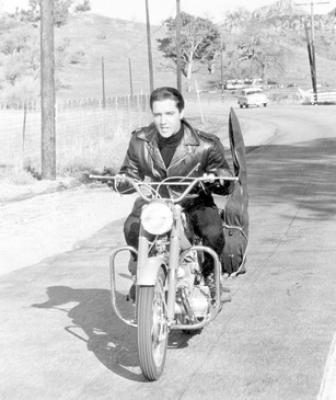 5. Elvis come password