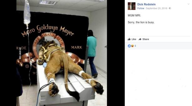 5. Le “torture” al leone della MGM 