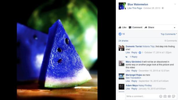 3. Anguria blu 