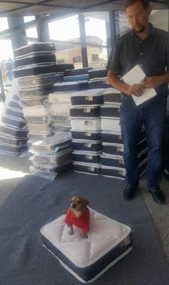 4. Materasso gratis per i cani 