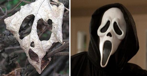 6. Una foglia / Scream