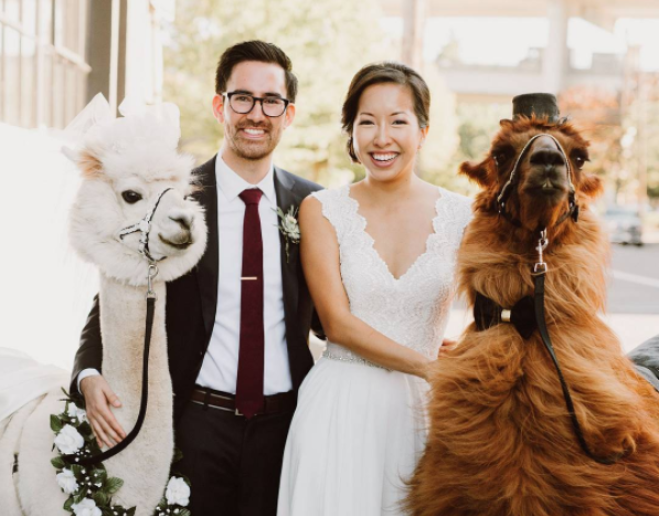 USA: matrimoni indimenticabili in compagnia del lama - Radio 16