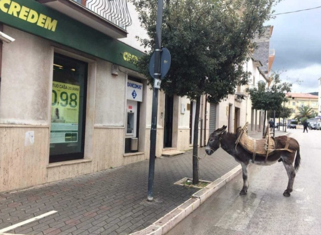 Parcheggia lâ€™asinello e va in banca: la foto diventa virale