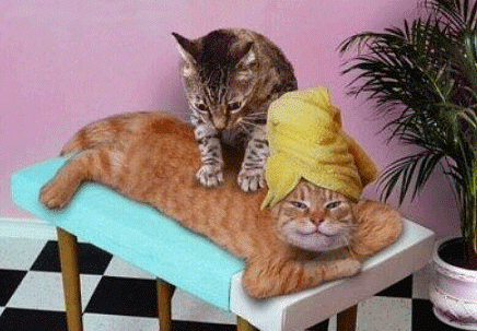 http://105.virtualcms.it/userUpload/Schermata_20150608_alle_121031.png