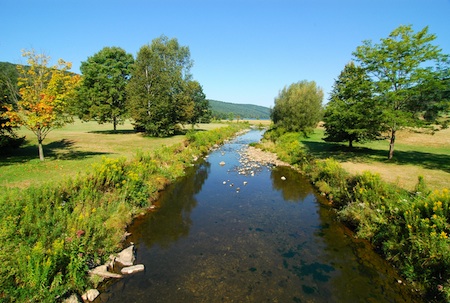 http://105.virtualcms.it/userUpload/cleanriverstream_jpg1.jpg